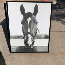 Horse Frame
