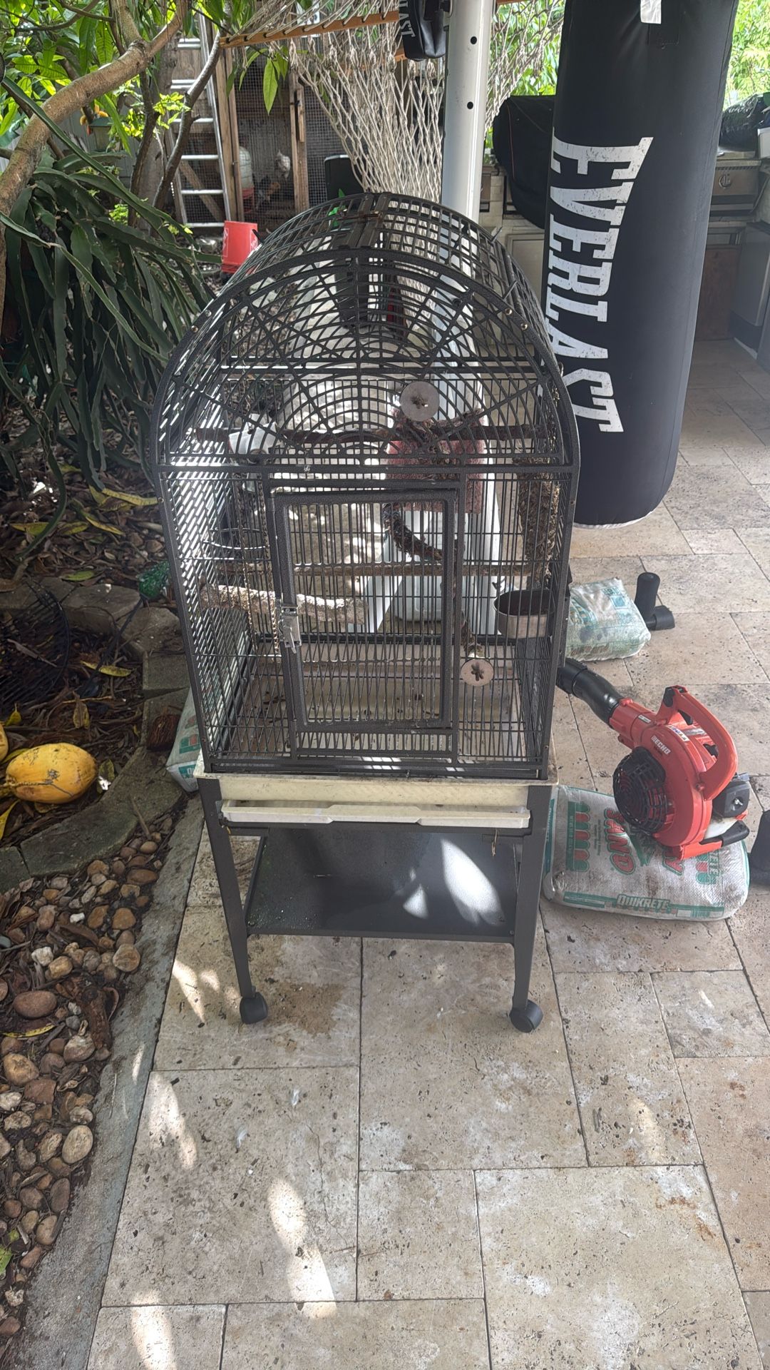 Bird Cage