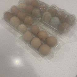 FRESH CHICKEN EGGS, PICK EVERY DAY 