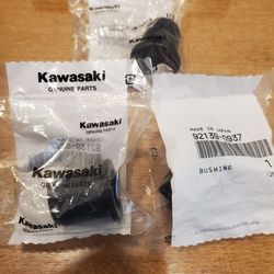 Kawasaki Teryx KRX1000  A-arm Bushings (Front)
