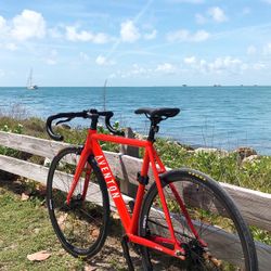 Aventon Fixed Bike Cordoba Frame