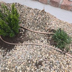 Drip For Plants