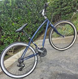 Hybrid bike