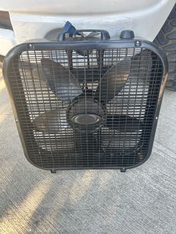 Fan