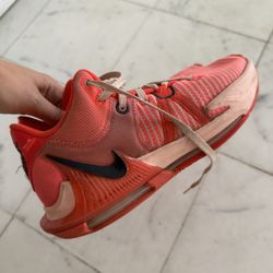Nike LeBron 