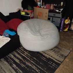 Large Bean Bag Chair