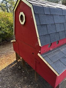 Chicken Coop 
