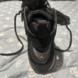 Jordan true flight cool grey