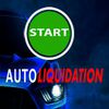 Start Auto Liquidation