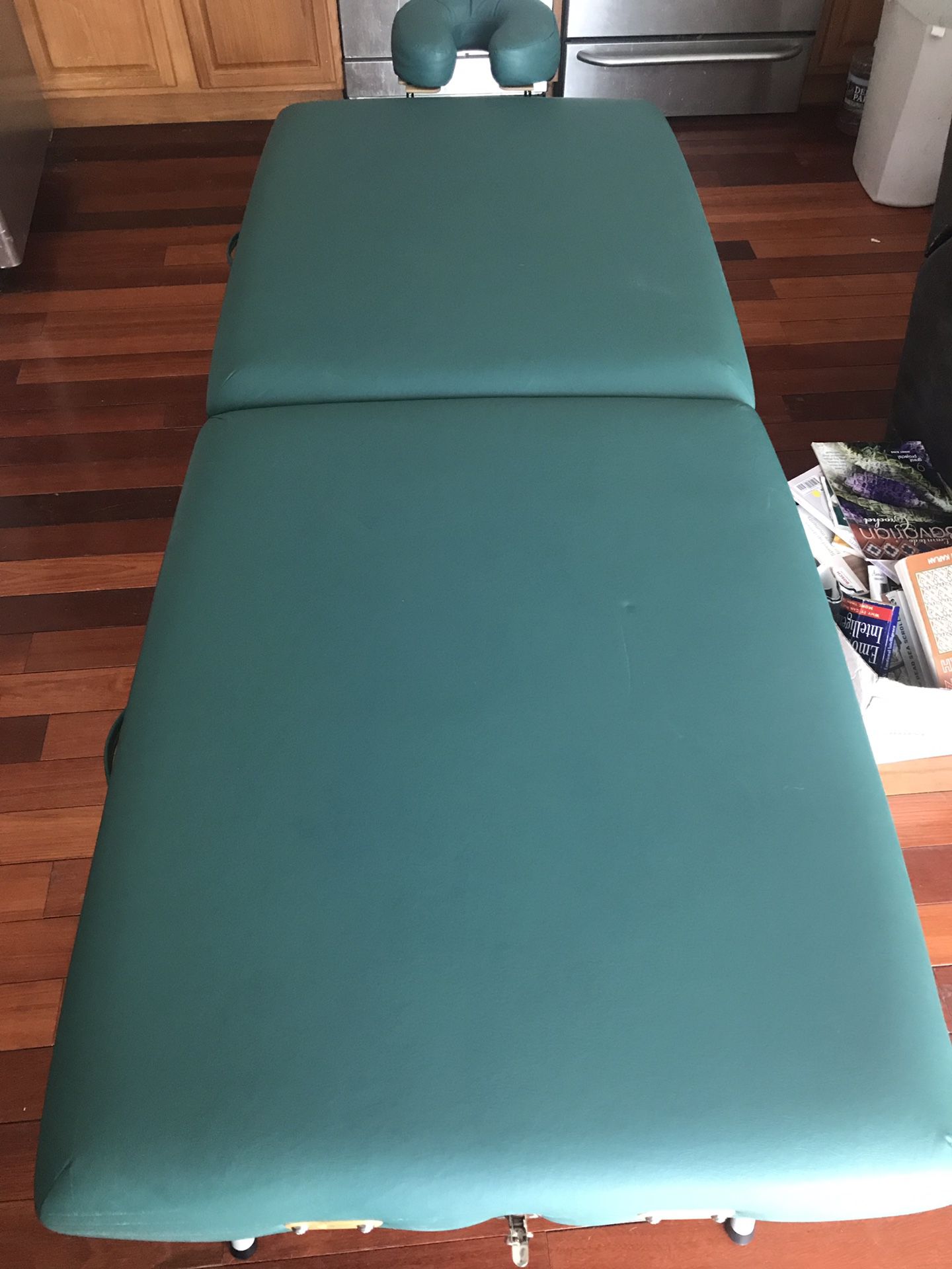 New EarthLink massage table