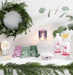 Christmas Scentsy Products
