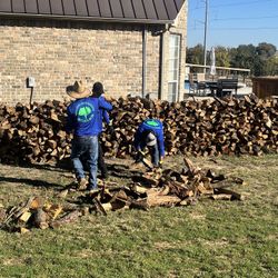 Seasoned Firewood Ready To Burn