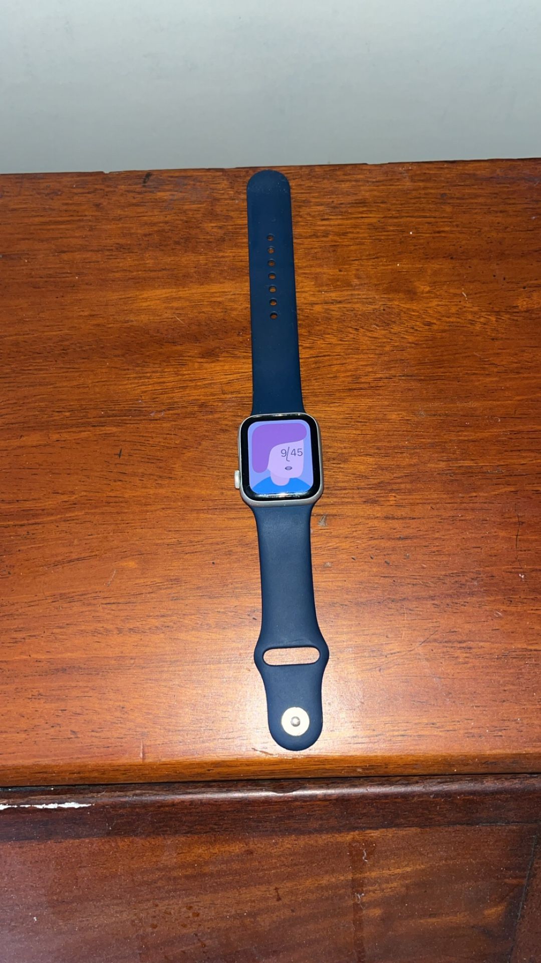 Apple Watch SE (Silver) 