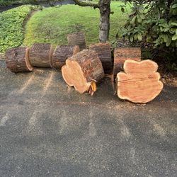 Fred cut fire wood rounds. Road side in front of property.