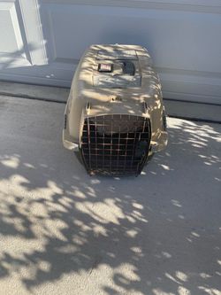 Pet Taxi