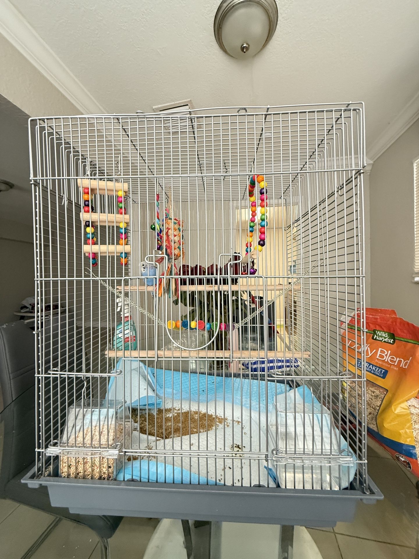 bird cage