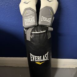 EVERLAST 80Lb Heavy Bag With EVERLAST Gloves
