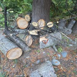 firewood