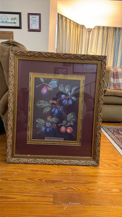 Framed George Brookshaw Plate XIX Print