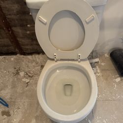 Glacier Bay Toilet 