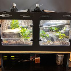 Bioactive enclosure
