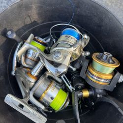 Fishing Real 