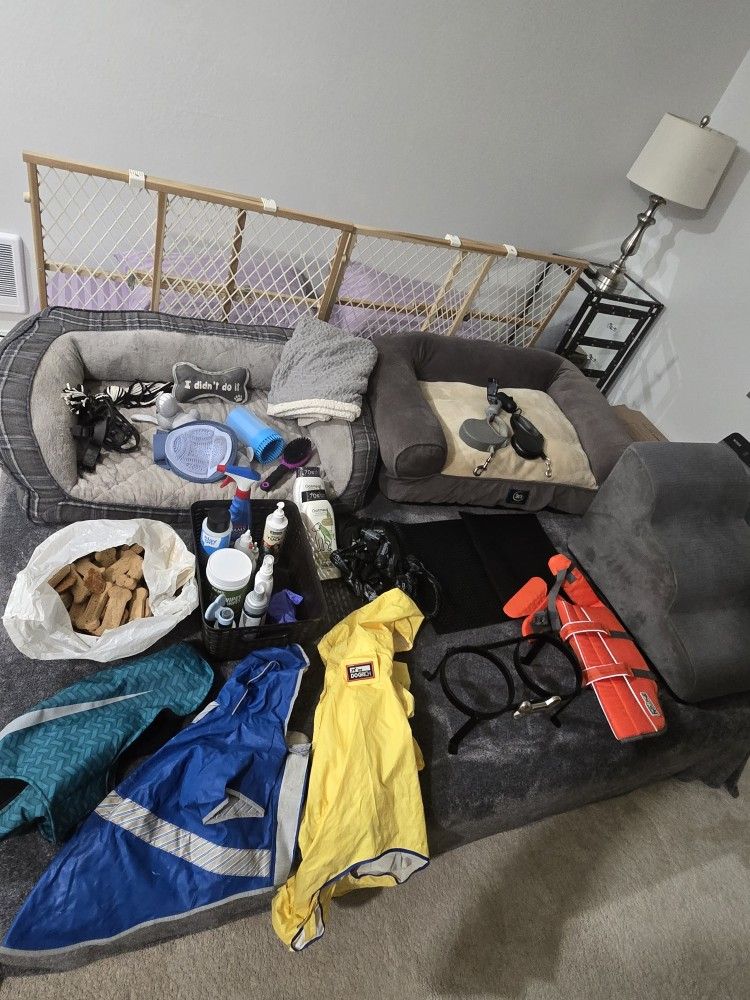 Huge Lot Of Great DOG stuff See Description AND MORE ITEMS HERE 