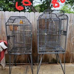 2 cages, the large one $80, the other $60  