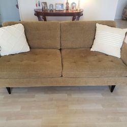 Petrie Midcentury Sofa (Crate and Barrel)