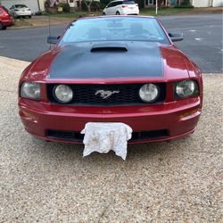 2008 Ford Mustang