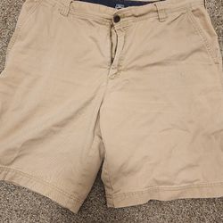 Men's Izod Shorts