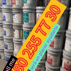 Paint For Sale 