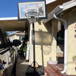 Free Basketball Court