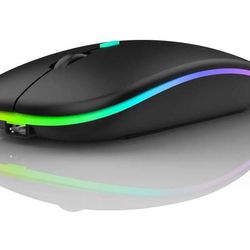 mouse 53(t)