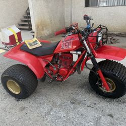 1982 Honda Atc  250r 