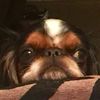 Maddy