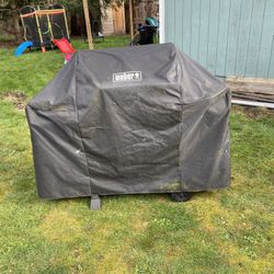 Free grill cover