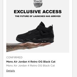 Black Cat 4’s 2025