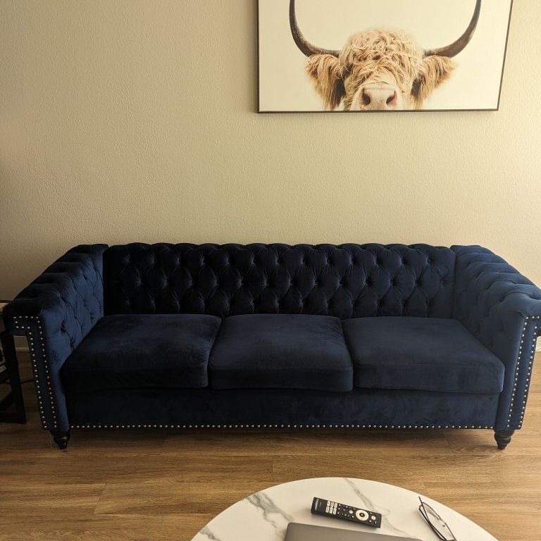 Blue Velvet Couch 🛋️