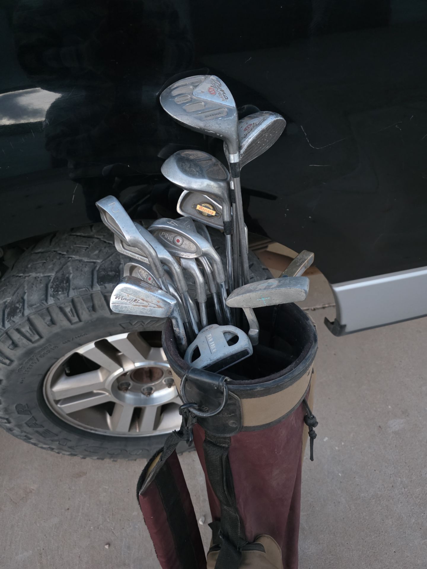 Golf clubs in bag