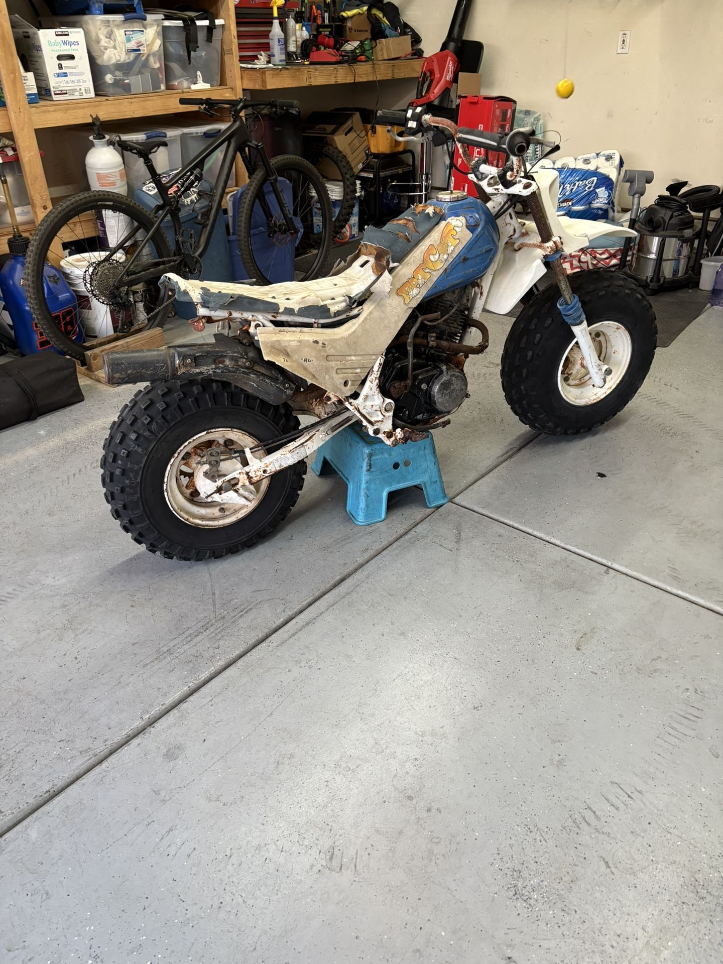 Rare 1986 Honda Fat Cat