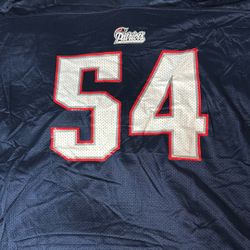 Teddy Bruschi Jersey 