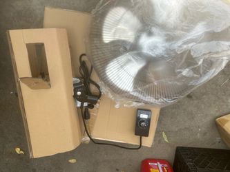 Fan