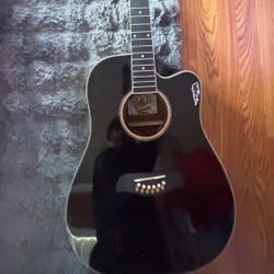 12 String Guitar Oscar Shmit