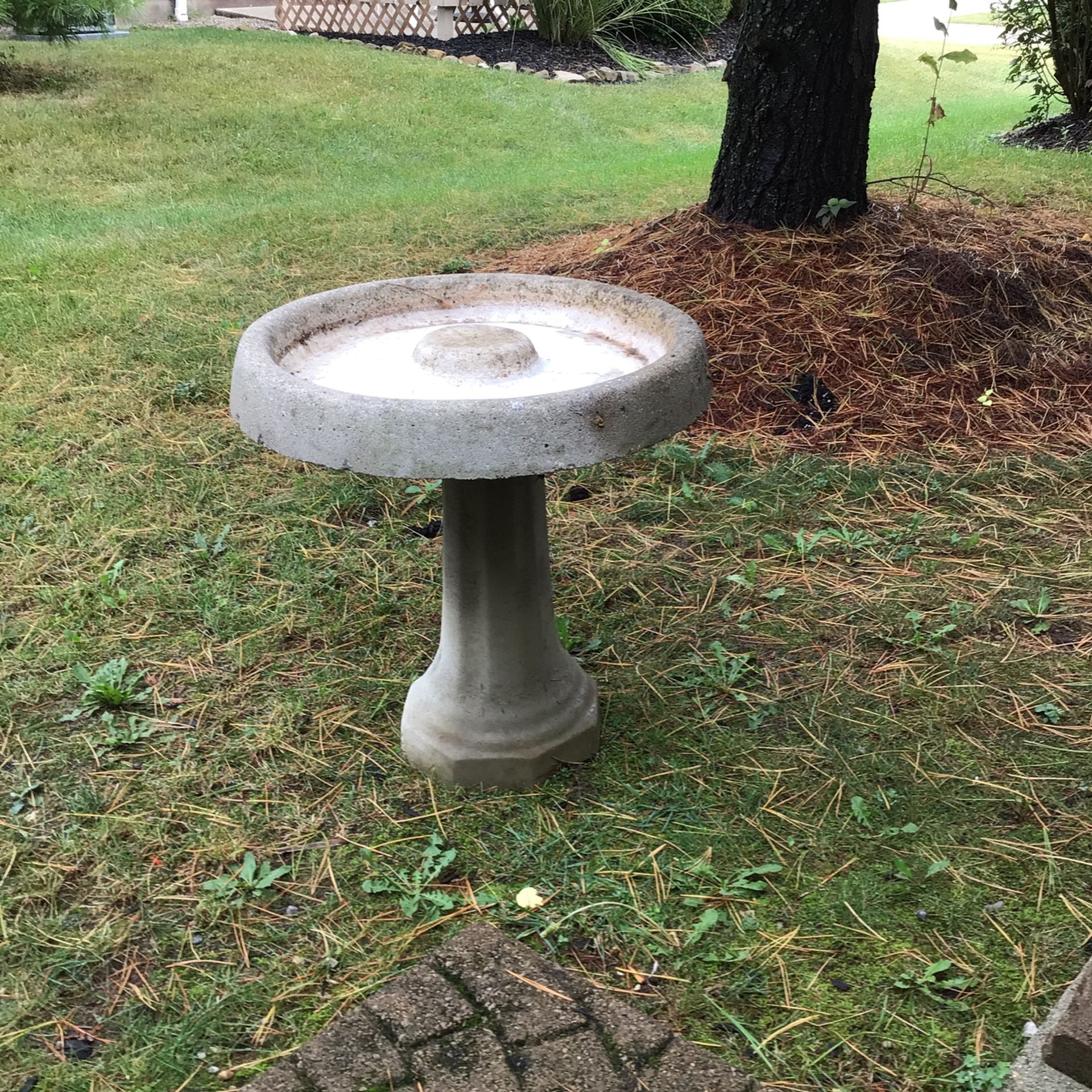 Cement Bird Bath