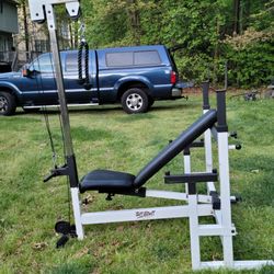 Adjustable Bench Press 