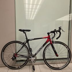 18.8 lb. All-Carbon Giant TCR C3 Racing Bike 