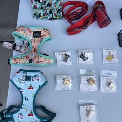 Dog Items