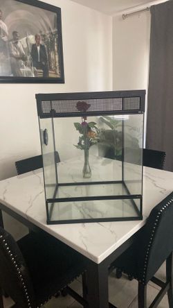 Lizard Tank