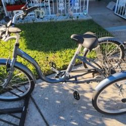 Schwinn 3 Wheel Basket